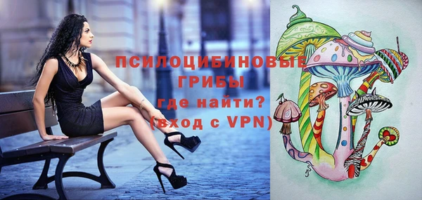 спиды Волосово