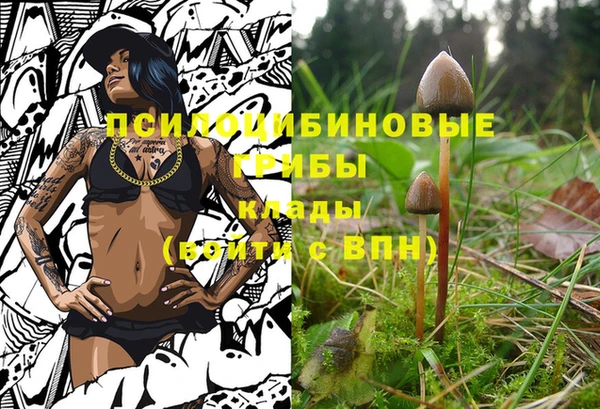 каннабис Верхний Тагил